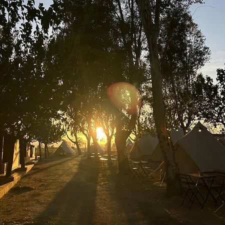 Camping Delta Natura La Tancada Amposta Dış mekan fotoğraf
