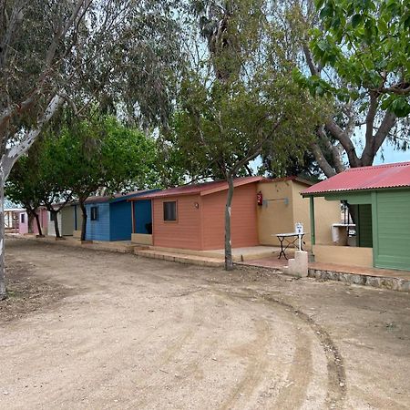 Camping Delta Natura La Tancada Amposta Dış mekan fotoğraf