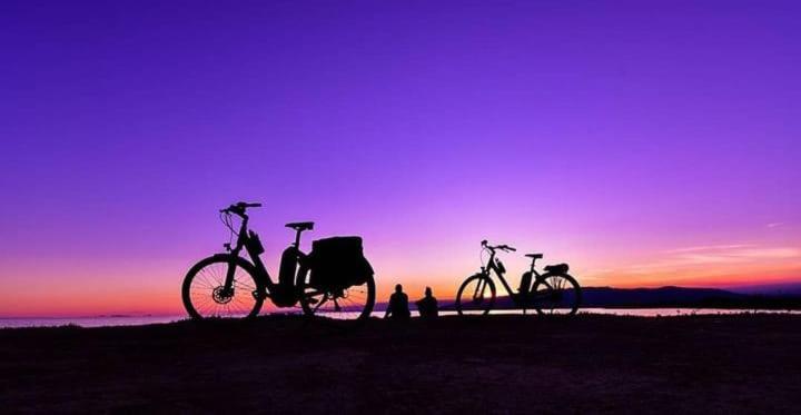 Camping Delta Natura La Tancada Amposta Dış mekan fotoğraf