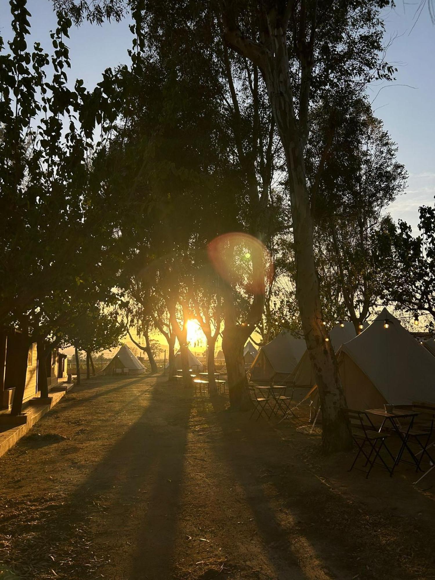 Camping Delta Natura La Tancada Amposta Dış mekan fotoğraf